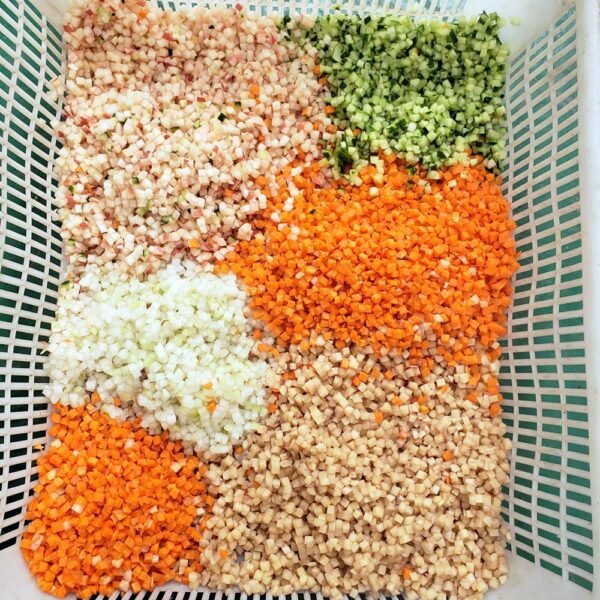 Vegetable/Fruit Dicing Machine - Image 3