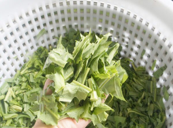 Centrifugal Spin Drying Machine - Image 3