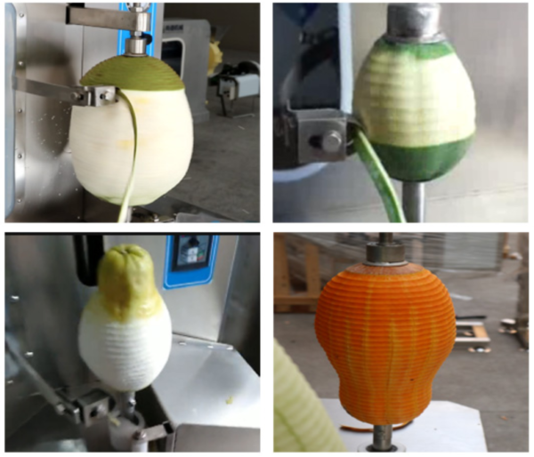 Melon/Fruit Peeling Machine - Image 3