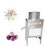 Garlic Skin Peeling Machine - Image 2