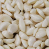 Garlic Skin Peeling Machine - Image 3