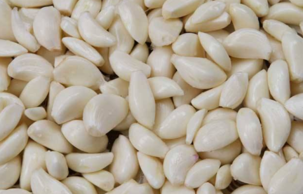 Garlic Skin Peeling Machine - Image 3