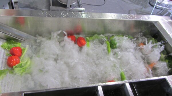 Air Bubble Vegetable Washer - Image 3