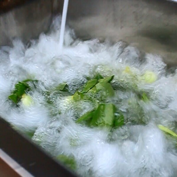 Vegetable/Fruit Washing Tank - Image 3