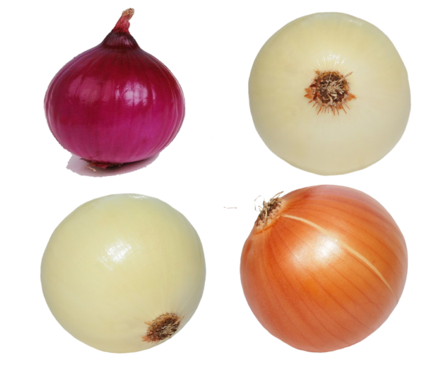 Onion Skin Peeling Machine - Image 3